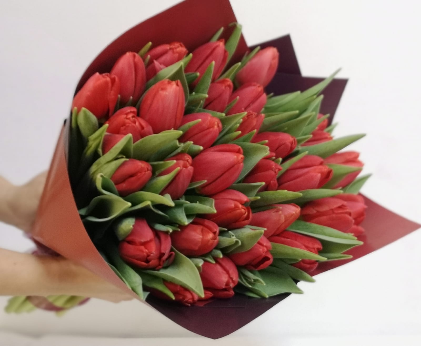 Buchet Carolina